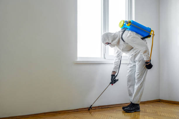 Best Cockroach Control Services  in Wiggins, MS