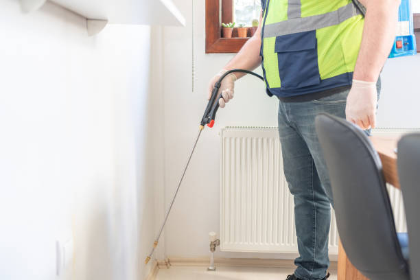 Best Ant Control Services  in Wiggins, MS